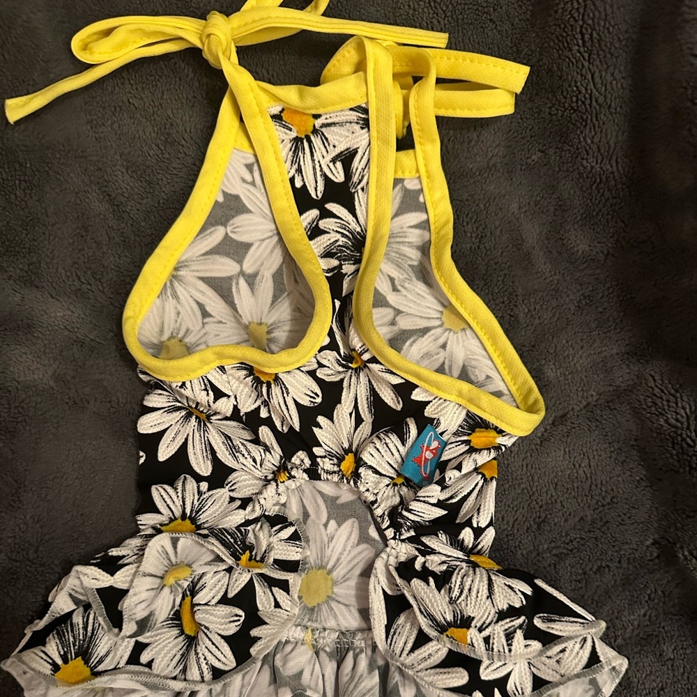 Yellow and Black with Daisies